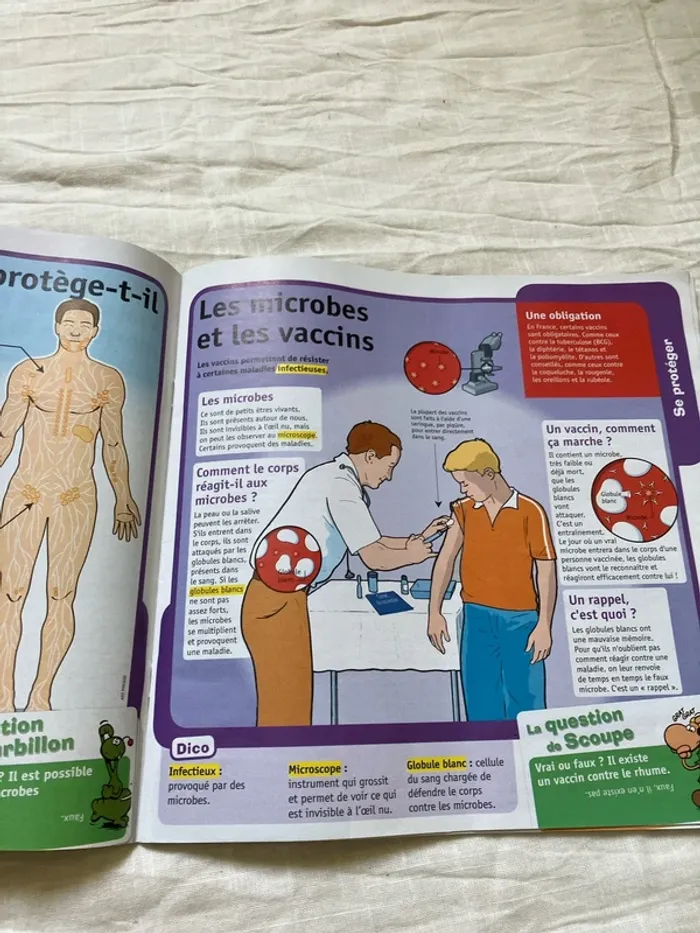 Fiches pédagogiques – Le Petit Quotidien (n°17H, mars 2020) - photo numéro 10