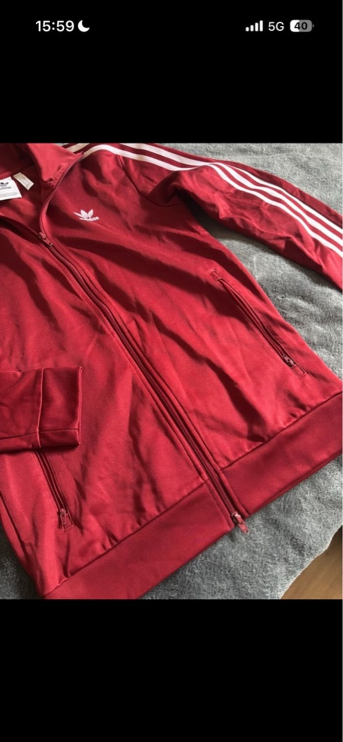 Veste adidas bordeaux - photo numéro 2
