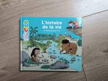 Livre l'histoire de la vie du big bang jusqu'à toi mes encyclos p'tits docs