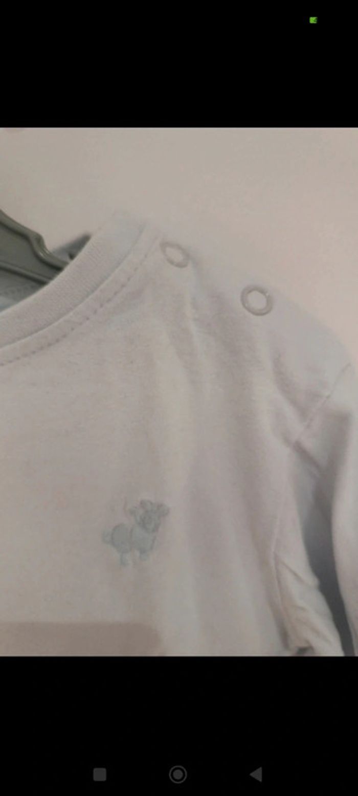 Tee-shirt 6 -9 mois - photo numéro 3