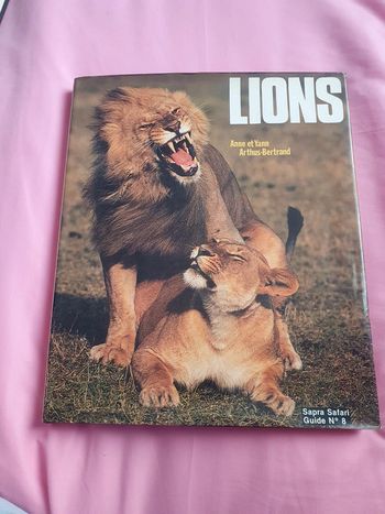 Lions  sapra safari guide n°8