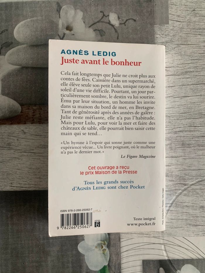 Livre de poche: Juste avant le bonheur de Agnès Lebig - photo numéro 2