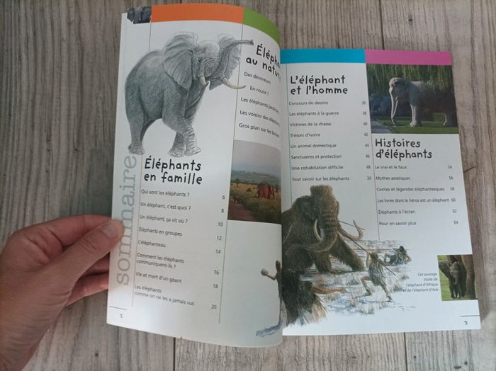 Livre éducatif sur les éléphants neuf - photo numéro 4