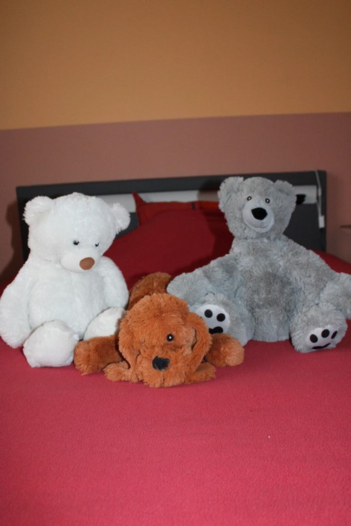 Lot de 3 belles peluches (2 nounours et 1 chien) - photo numéro 4
