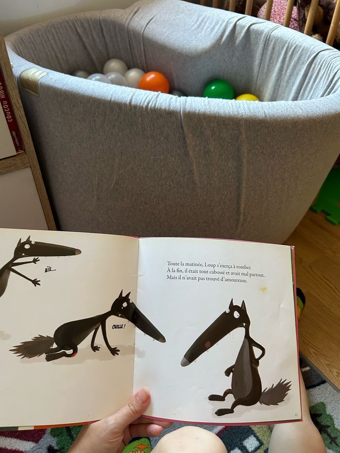 Le loup qui cherchait une amoureuse - photo numéro 2