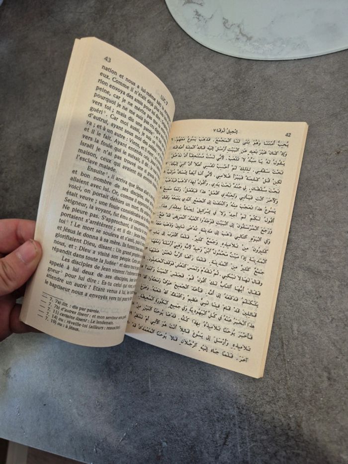 évangile selon Luc - photo numéro 3