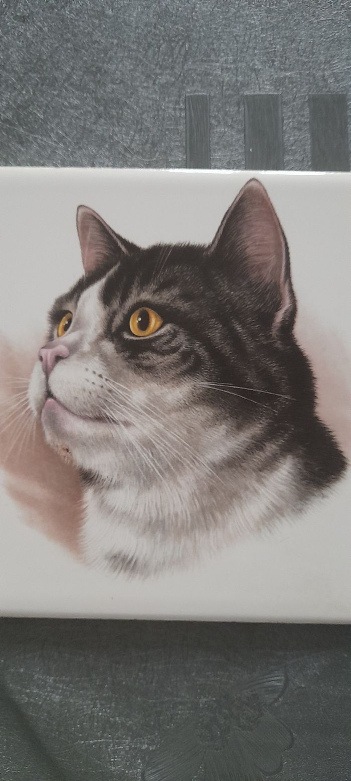 Déco chat - photo numéro 2
