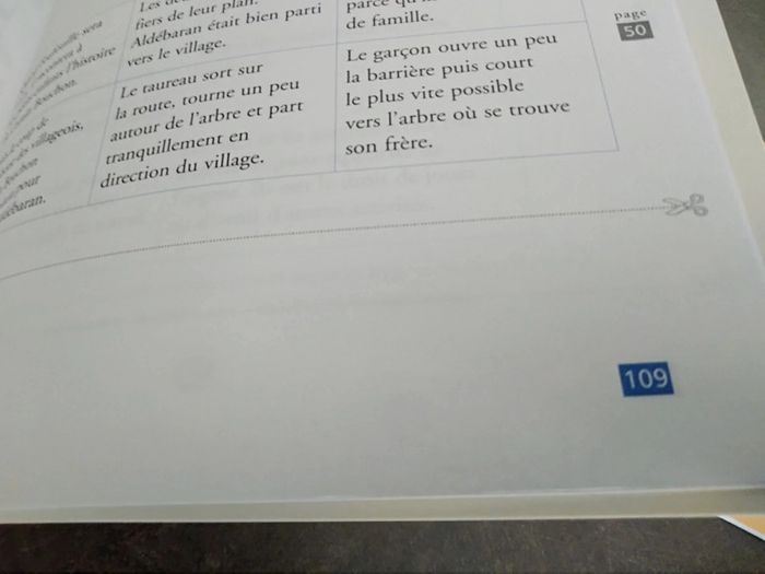 Lot de 2 livres Ribambelle CE1 - photo numéro 17