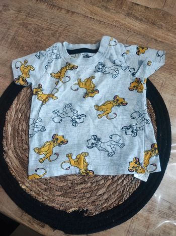 Haut roi lion 6 mois