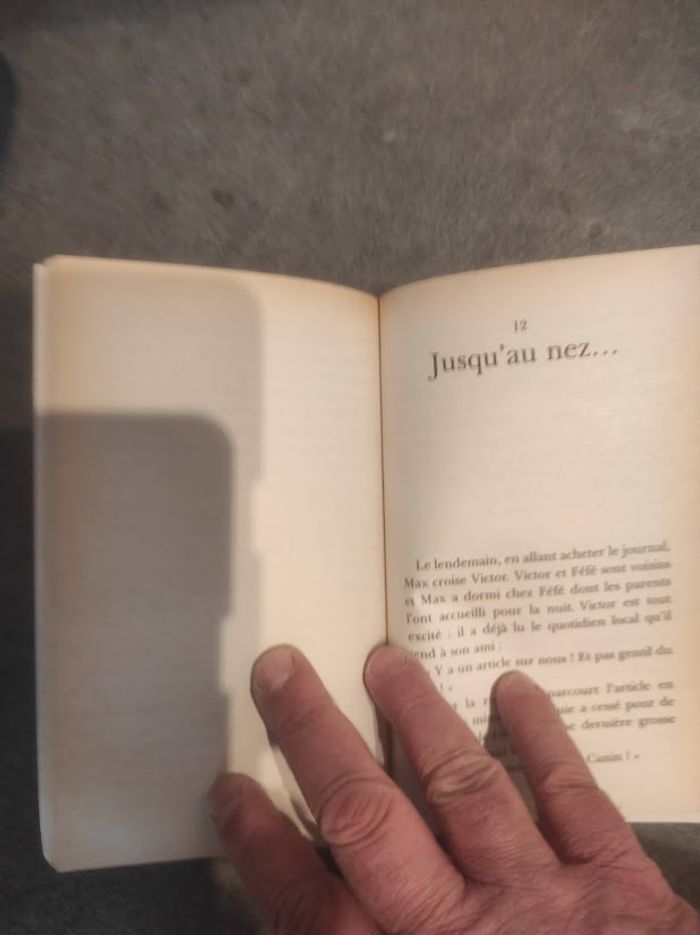Déluge sur Monteyrac Yves Frémion Bibliothèque Verte 1997 - photo numéro 4