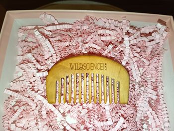 Peigne en bois démêlant à dents larges, Wild science lab, NEUF