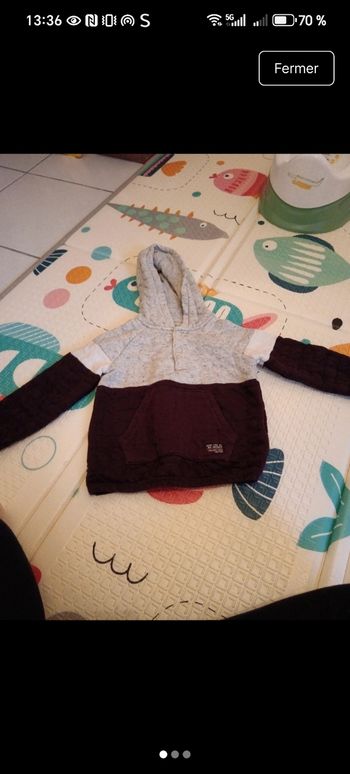 3 pulls gilets garçon 18 mois