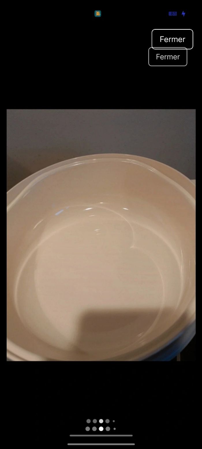 Cocottes 3l et 1,5l - photo numéro 2