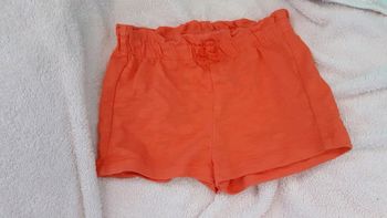 Short corail