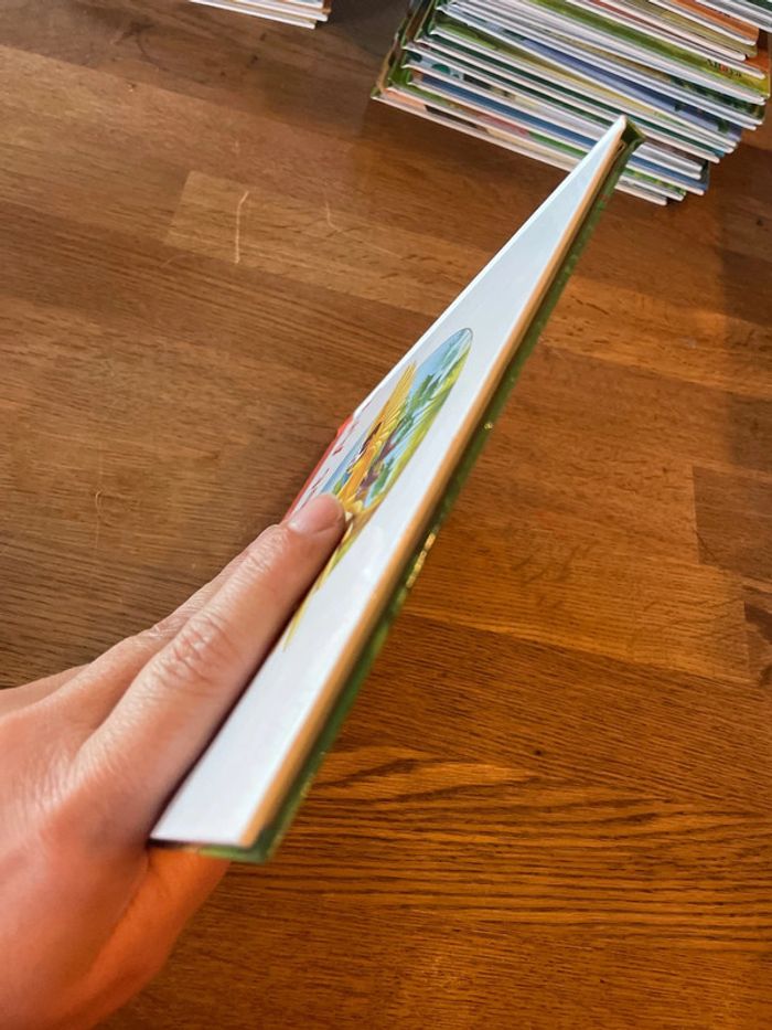 Livre Altaya Le monde des animaux Sauvages Animaux de la savane Le perroquet Ara - photo numéro 6