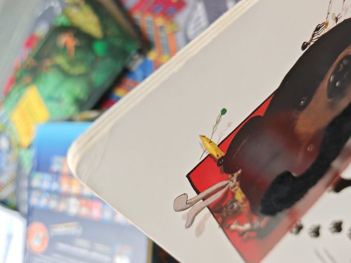 Livre le bonnet rouge - photo numéro 6