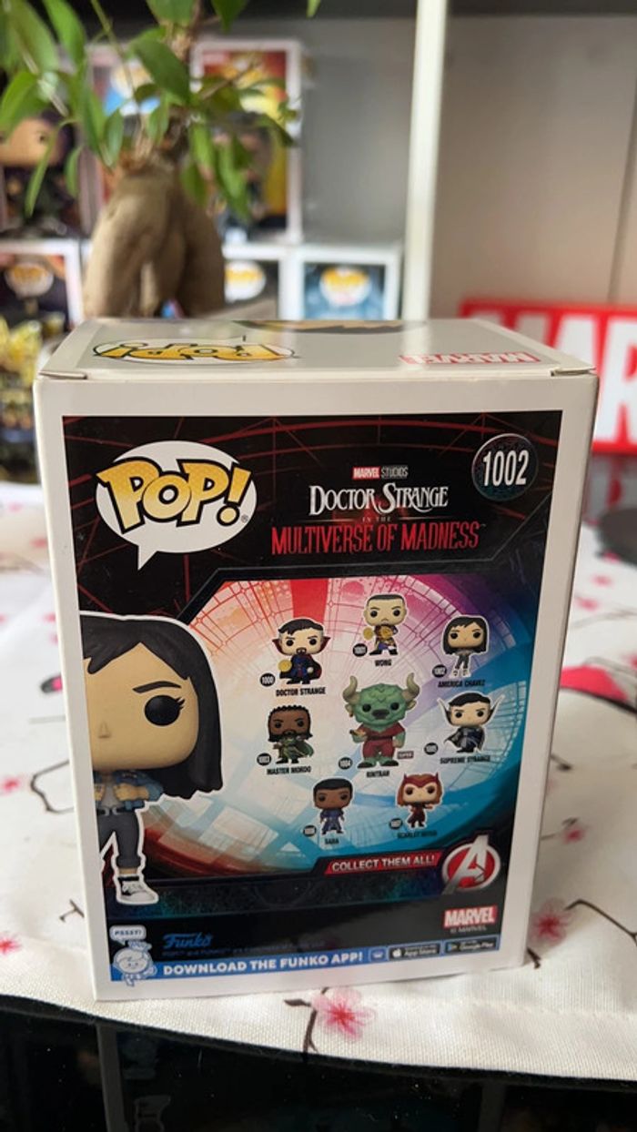 Pop America chavez - photo numéro 3