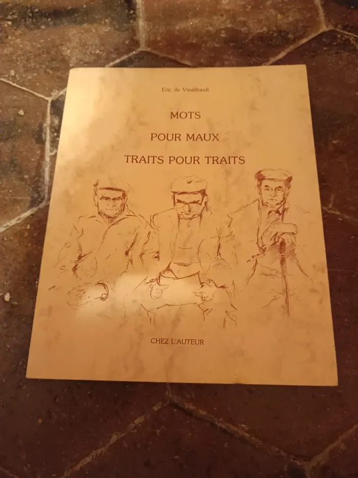 Livre mots pour maux traits pour traits