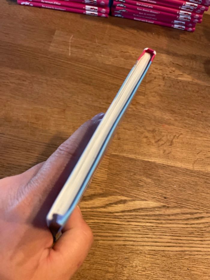Livre La bibliothèque Rose Miraculous Au secours d’Alya Numéro 3 - photo numéro 5