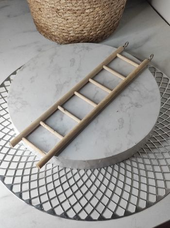 Échelle pour oiseaux