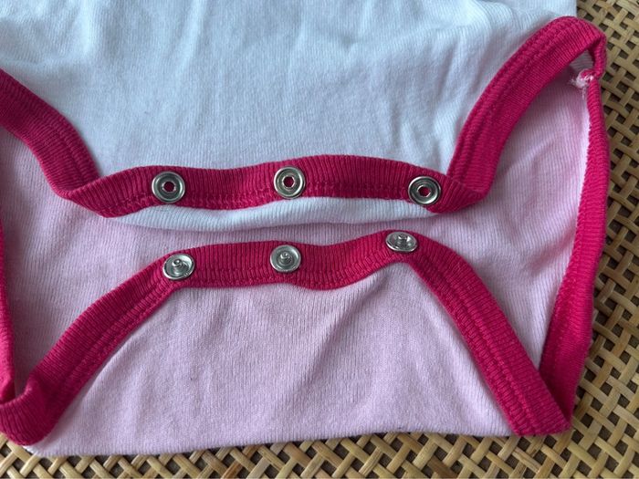 Bodie 18 mois - photo numéro 4