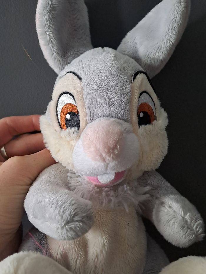 Pampam lapin disney - photo numéro 5