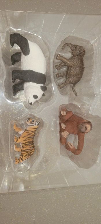 Coffret Animaux d Asie