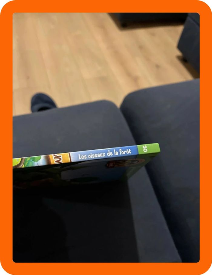 Livre les oiseaux de la forêt - photo numéro 2