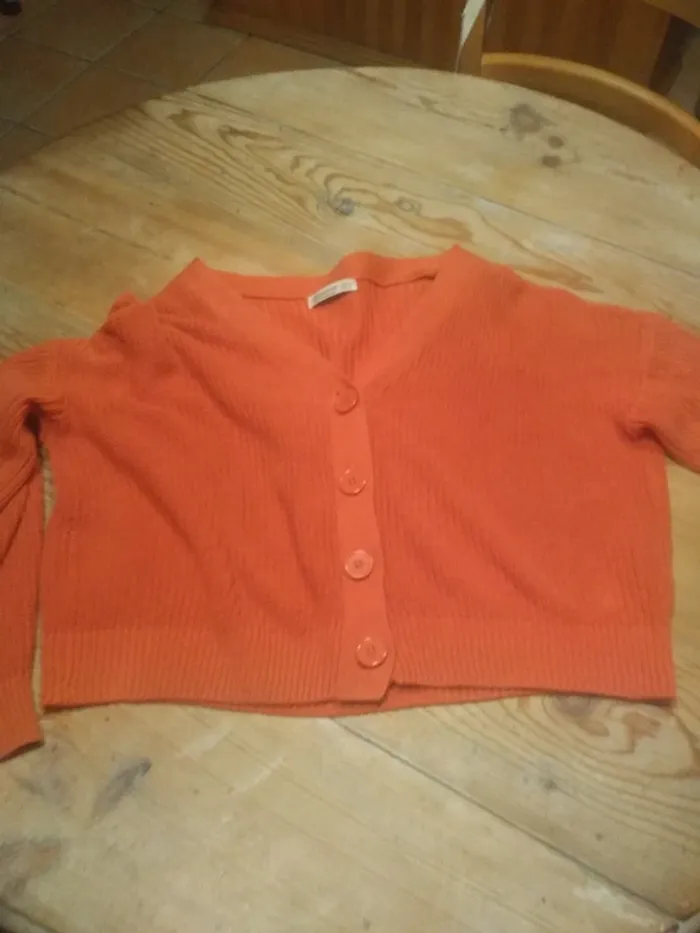 Gilet Court Rose