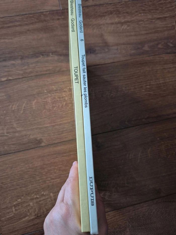 Lot de 2 bandes dessinées Toupet - photo numéro 2