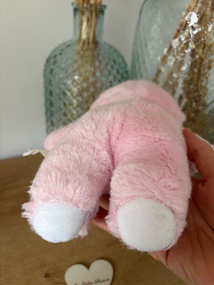 Ours Boulgom - photo numéro 10