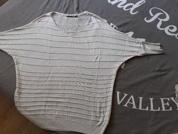 Pull argenté  Captain Tortue