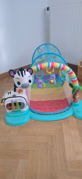 Tunnel zèbre Vtech