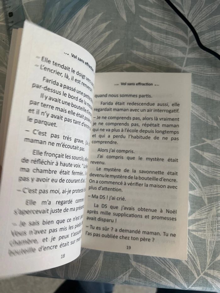 Livre neuf vol sans effraction - photo numéro 3