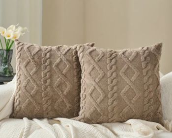 2 Housses de coussins