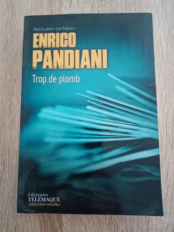 Enrico Pandiani 💠Trop de plomb - photo numéro 1