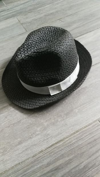 Chapeau type borsalino gris