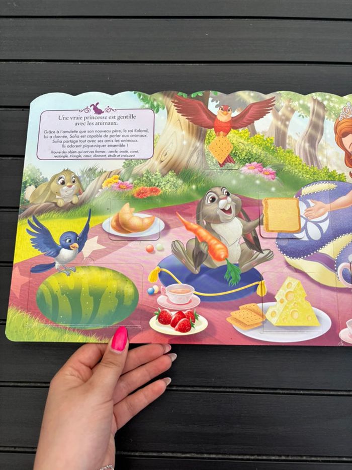 🌺Livre à volets Disney princesse Sofia Les leçons royale🌺 - photo numéro 6