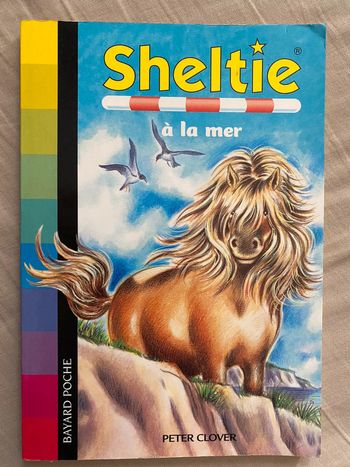 Sheltie à la mer