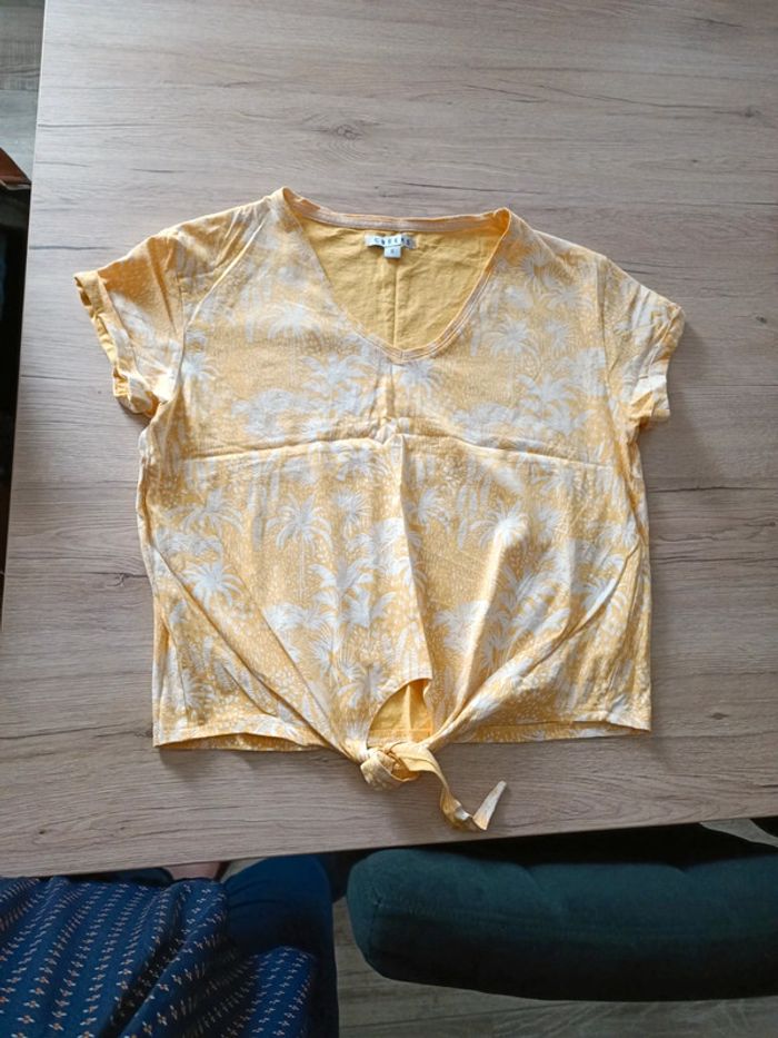 Tee-shirt creeks