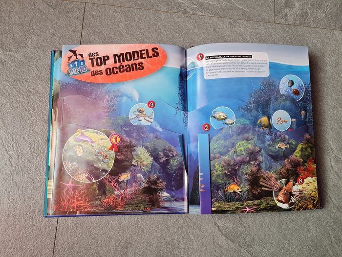 Livre créatures de la mer 1 2 3 doc fleurus attention les coins un peu abîmé - photo numéro 8
