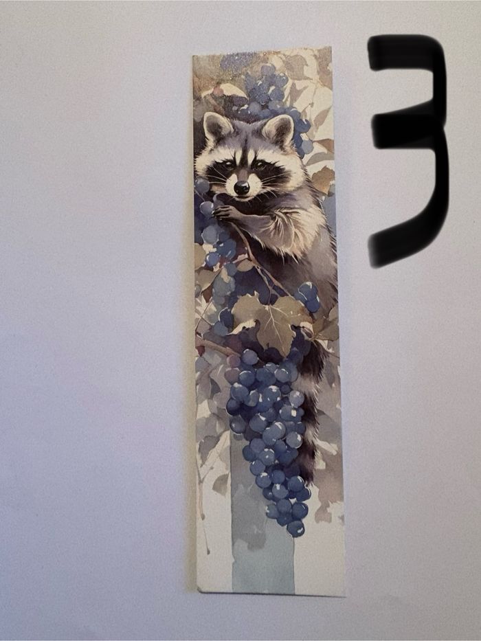 Magnifique, marque page raton, laveur - photo numéro 3