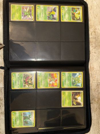 Gros classeur Pokémon – Bloc EX • Holo • Reverse • Promos scellées