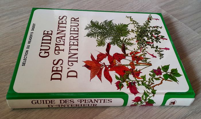 guide des plantes d'intérieur - photo numéro 2