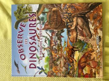Livre Observe les dinosaures et trouve l'intrus