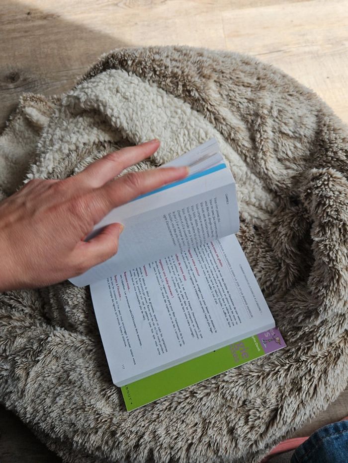 Lot livres - photo numéro 11