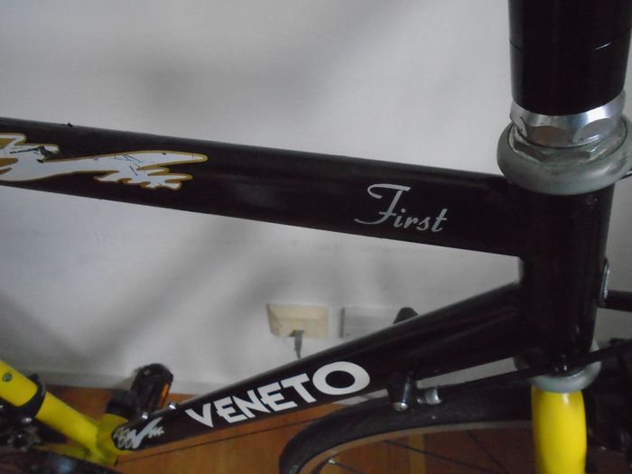 Un vélo veneto - photo numéro 6