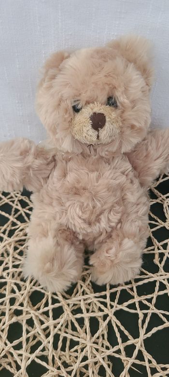 Ours en peluche - Bukowski