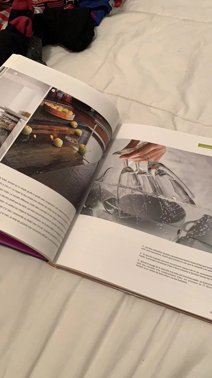 Livre de d’astuce pour une maison saine - photo numéro 2