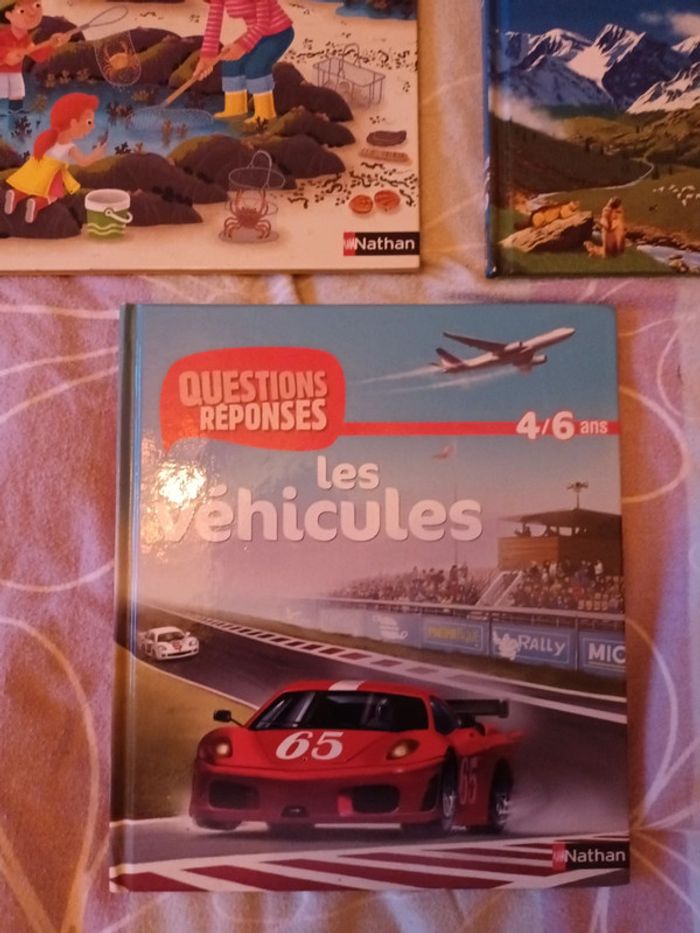 Lot de 2 livres questions réponses + 1 offert - photo numéro 3